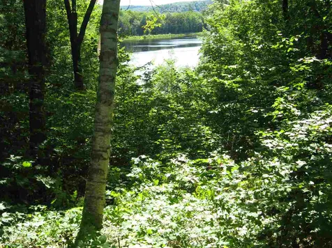 270 North Hidden Lake Road Stoddard NH 03464