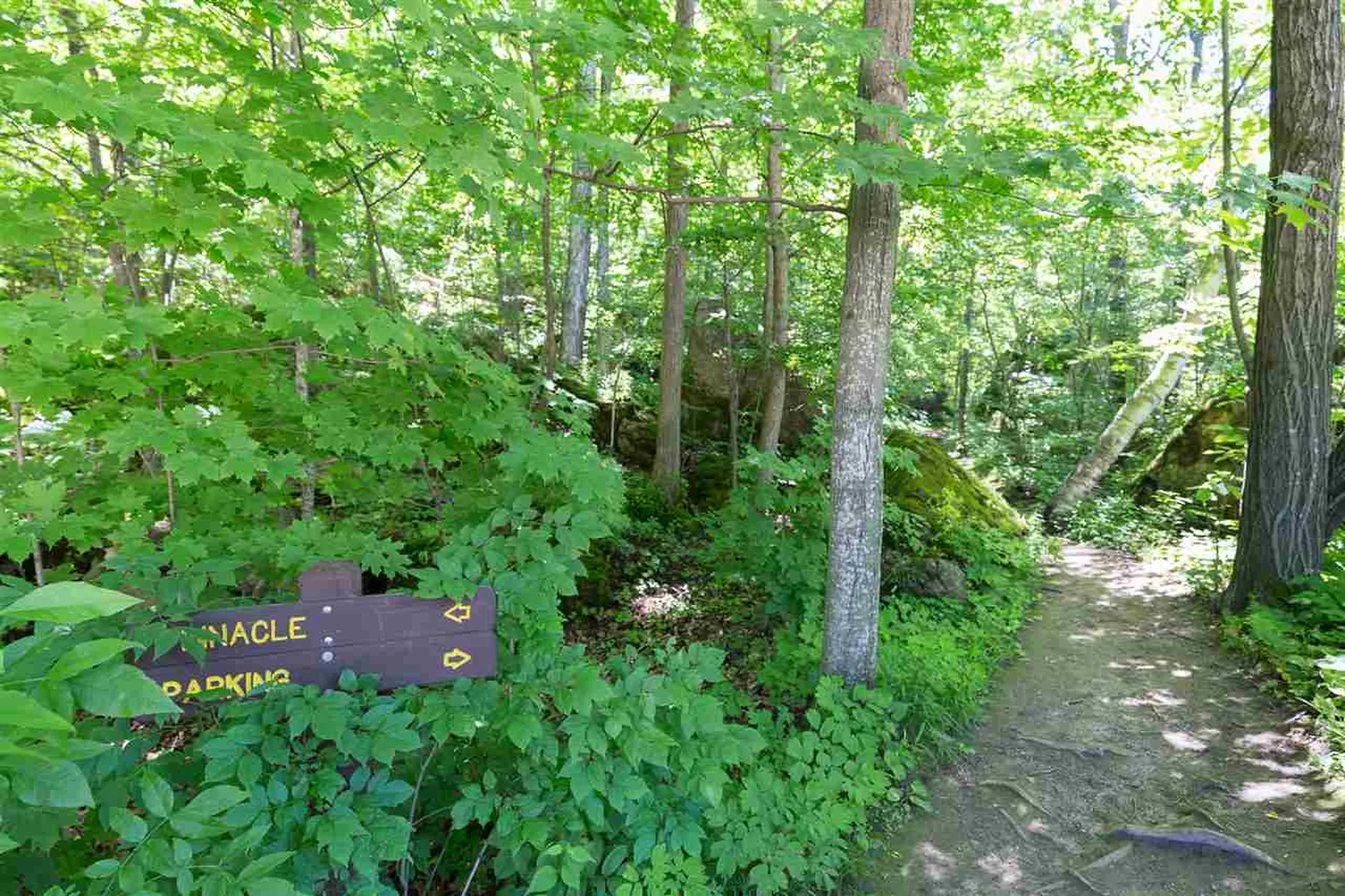 134 Ethan Allen Parkway Burlington VT 05408