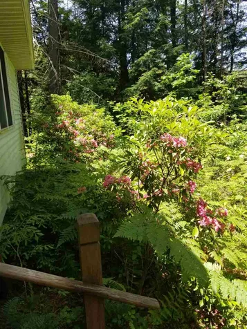 132 Swanzey Lake Road Swanzey NH 03446