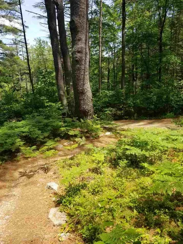 132 Swanzey Lake Road Swanzey NH 03446