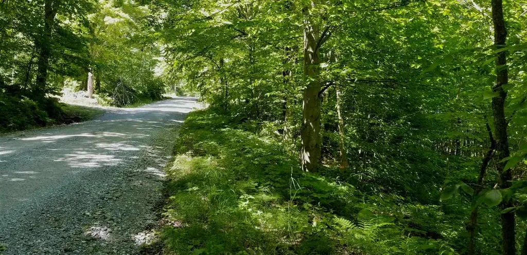 00 Gates Road Andover VT 05143