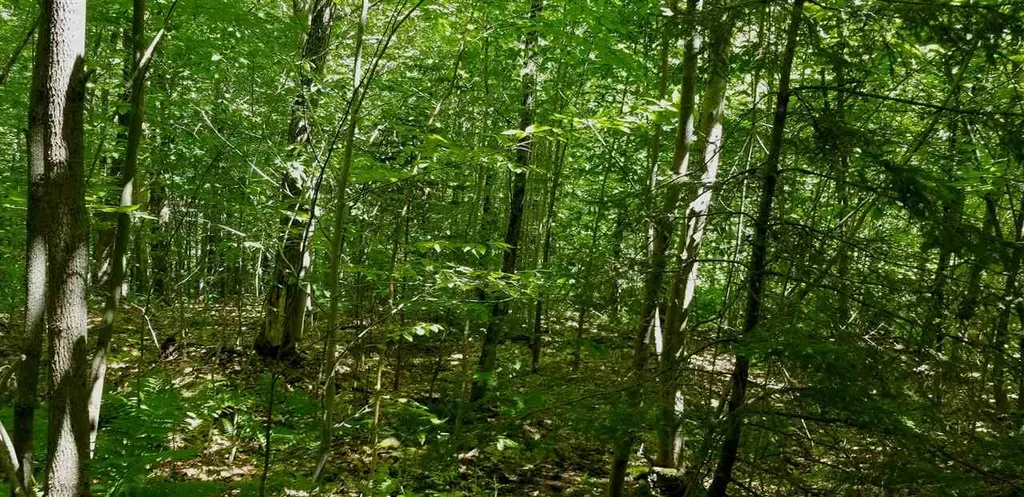 00 Gates Road Andover VT 05143