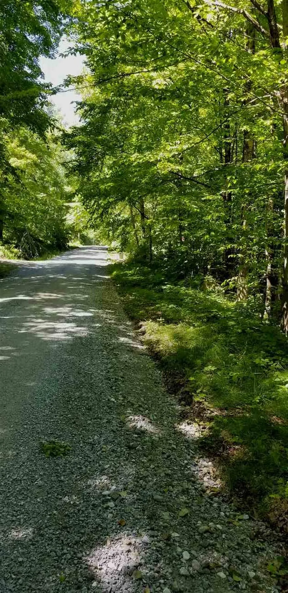 00 Gates Road Andover VT 05143