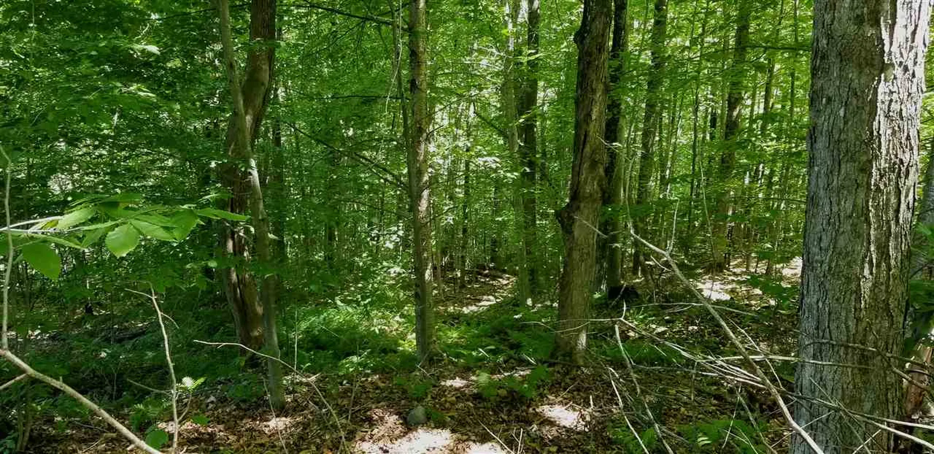 00 Gates Road Andover VT 05143