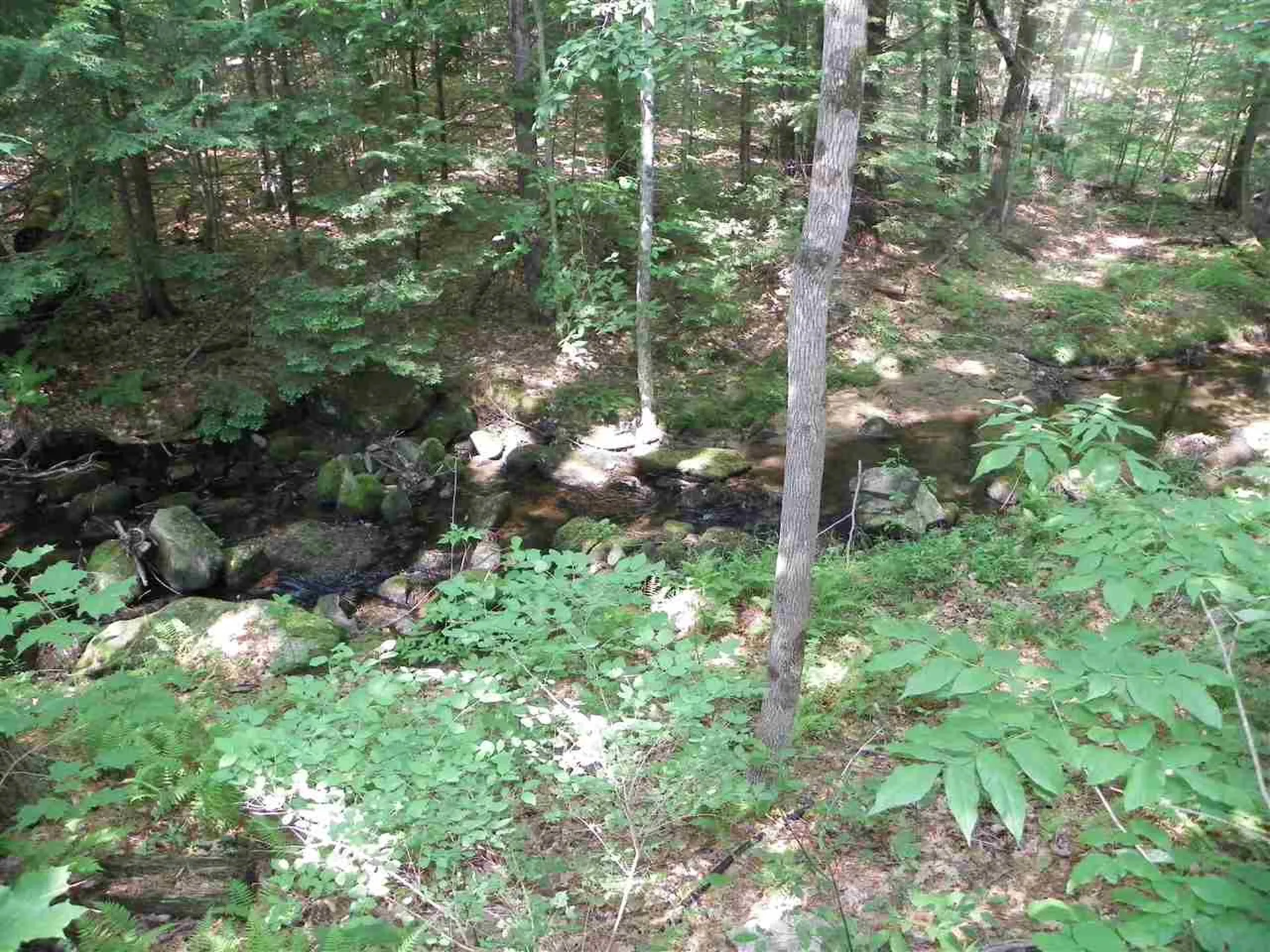 255 Pond Road Surry NH 03431