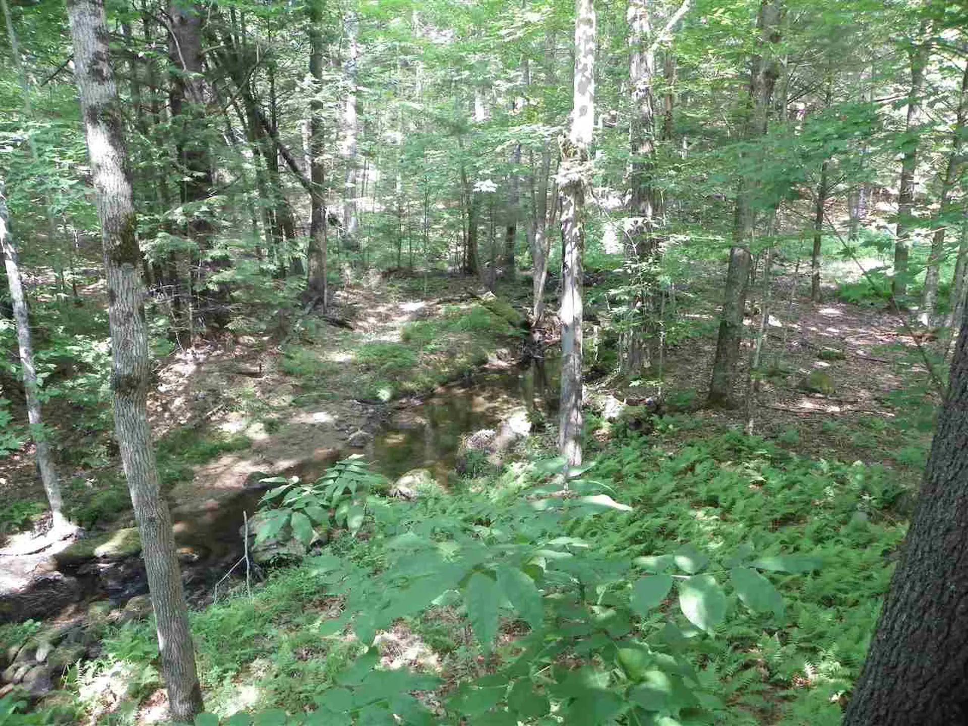 255 Pond Road Surry NH 03431