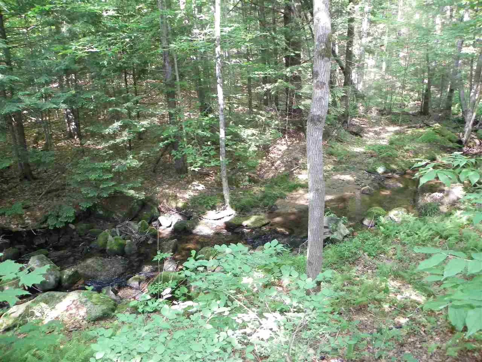 255 Pond Road Surry NH 03431