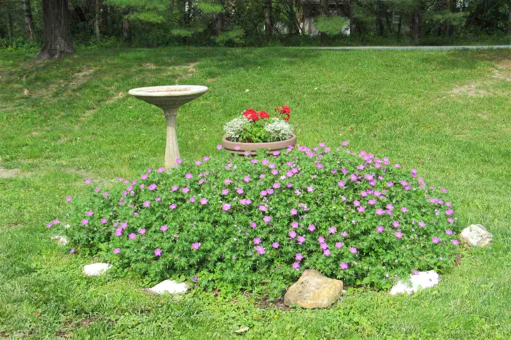 51 Otterside Court Middlebury VT 05753