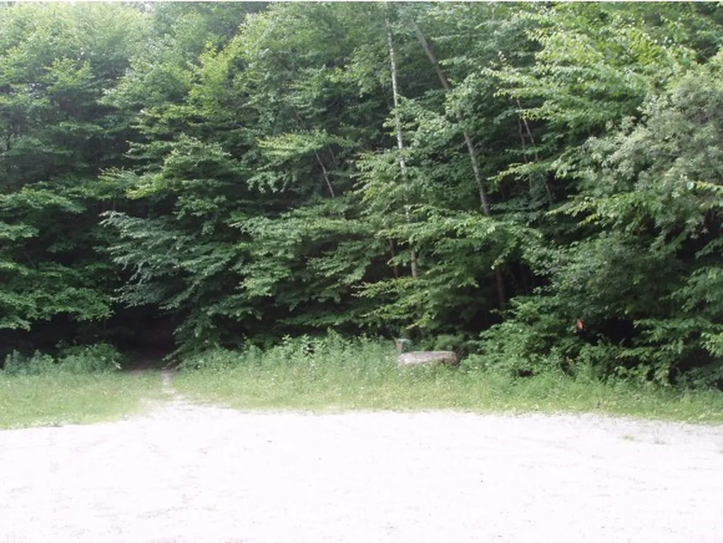 00 The Glen Road Sunderland VT 05250