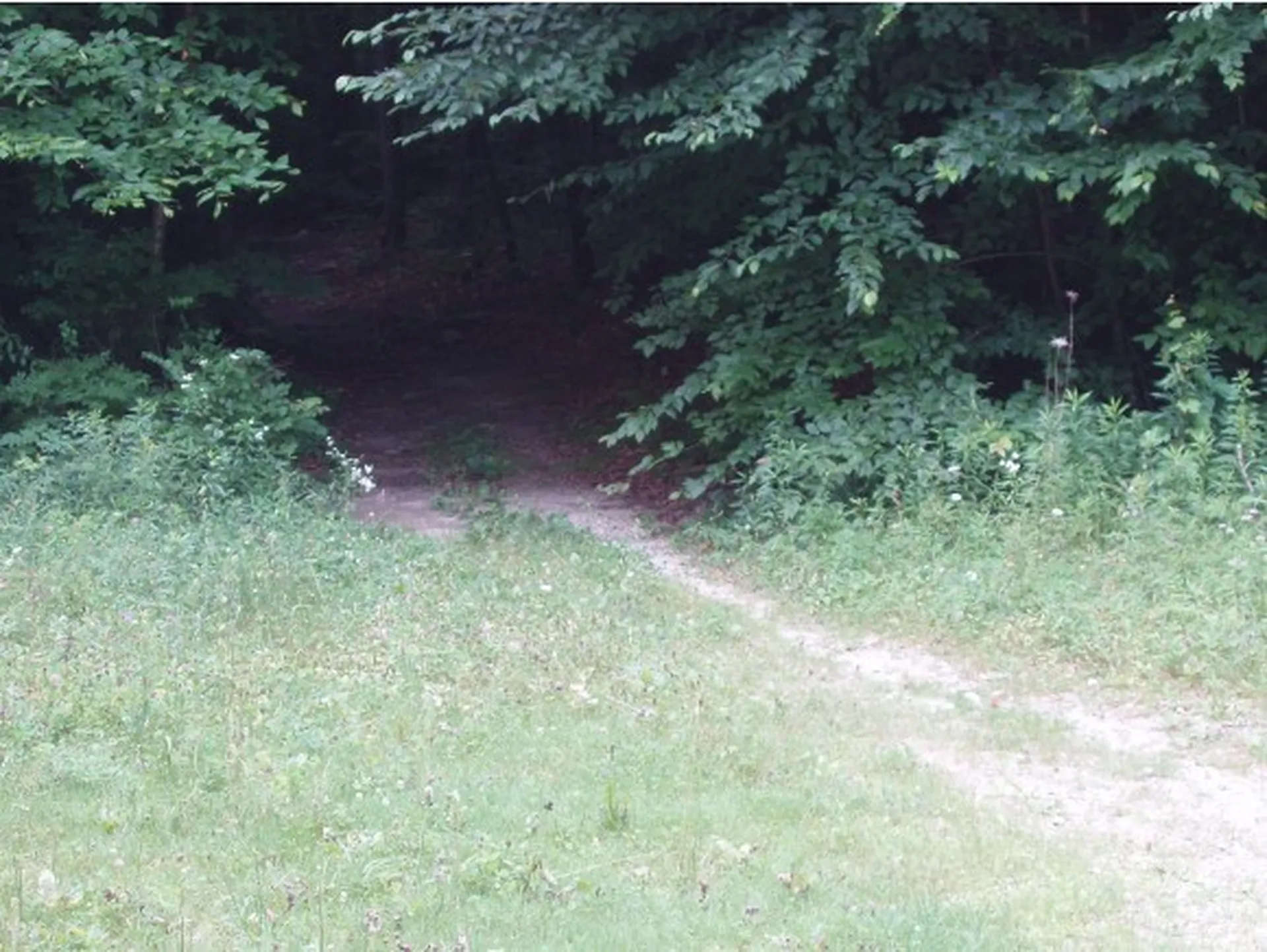 00 The Glen Road Sunderland VT 05250