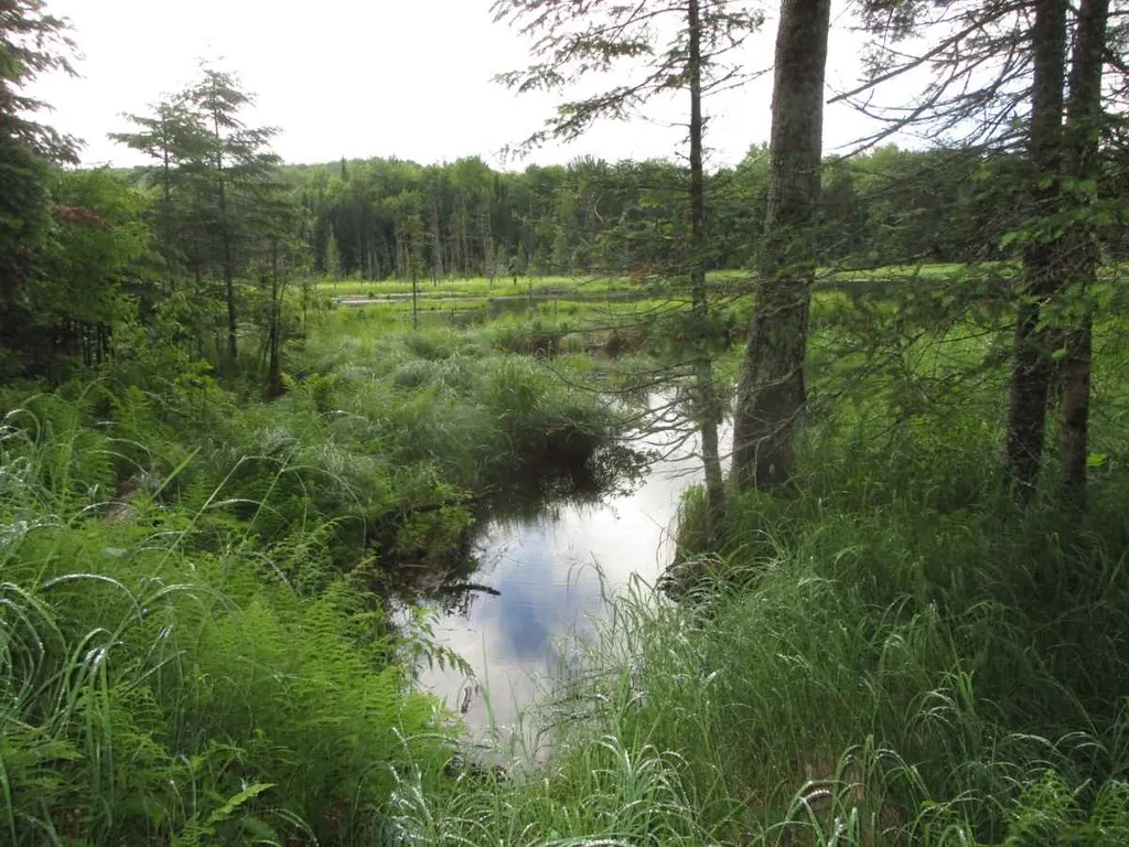 000 Jones Lane Wolcott VT 05680