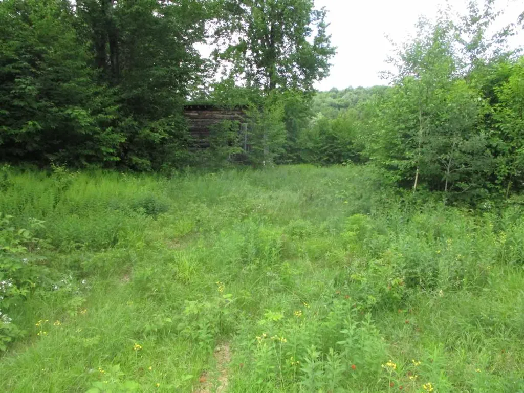 000 Jones Lane Wolcott VT 05680