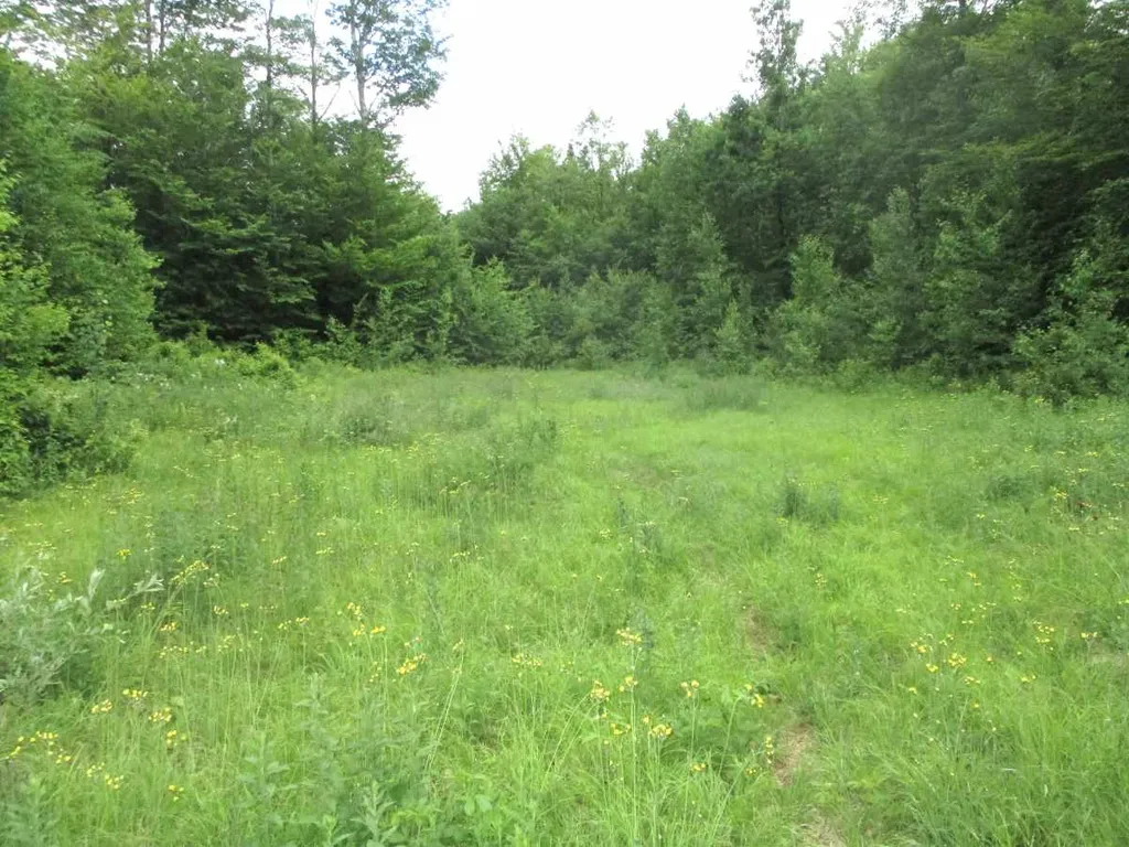 000 Jones Lane Wolcott VT 05680