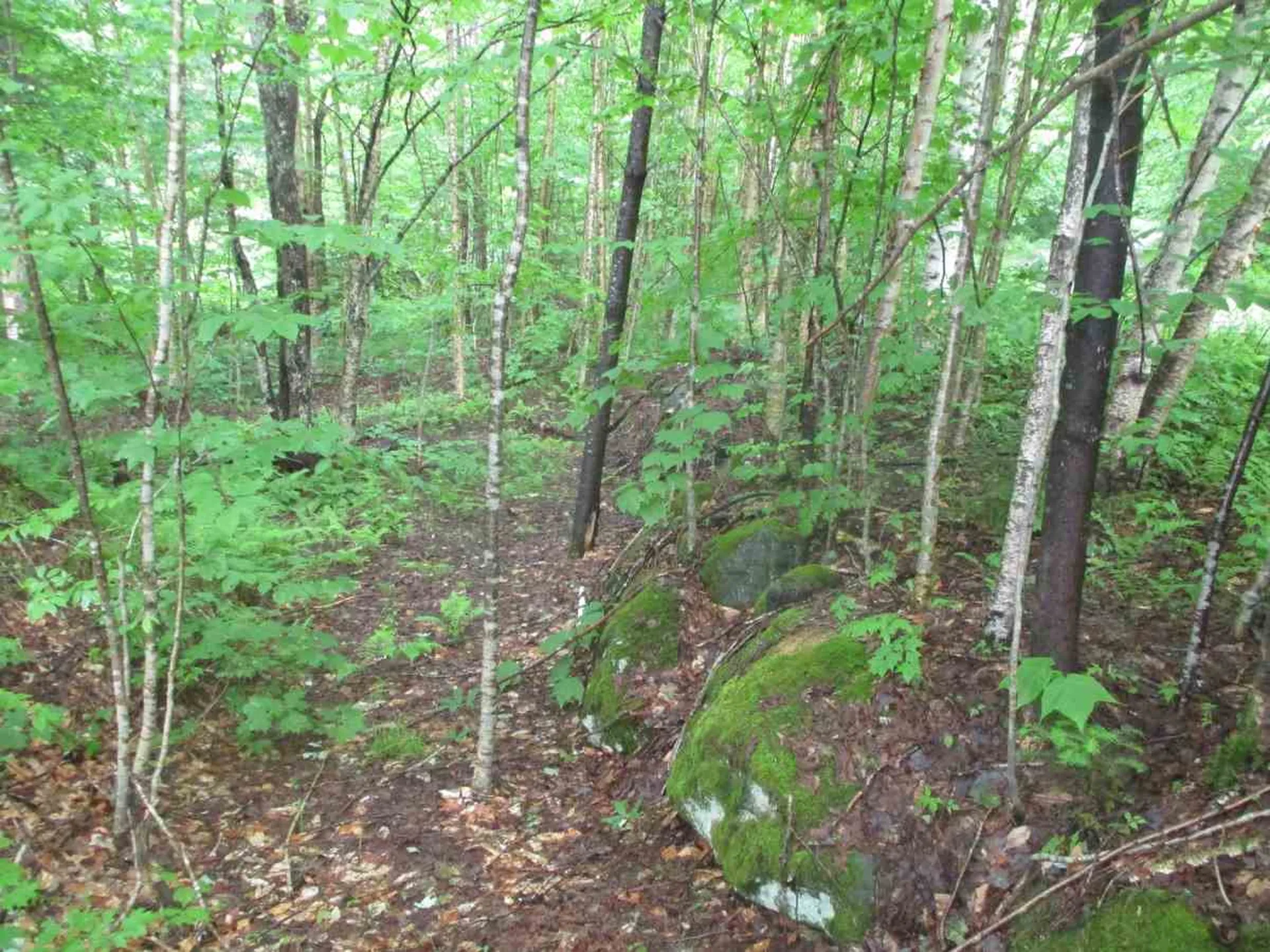 000 Jones Lane Wolcott VT 05680