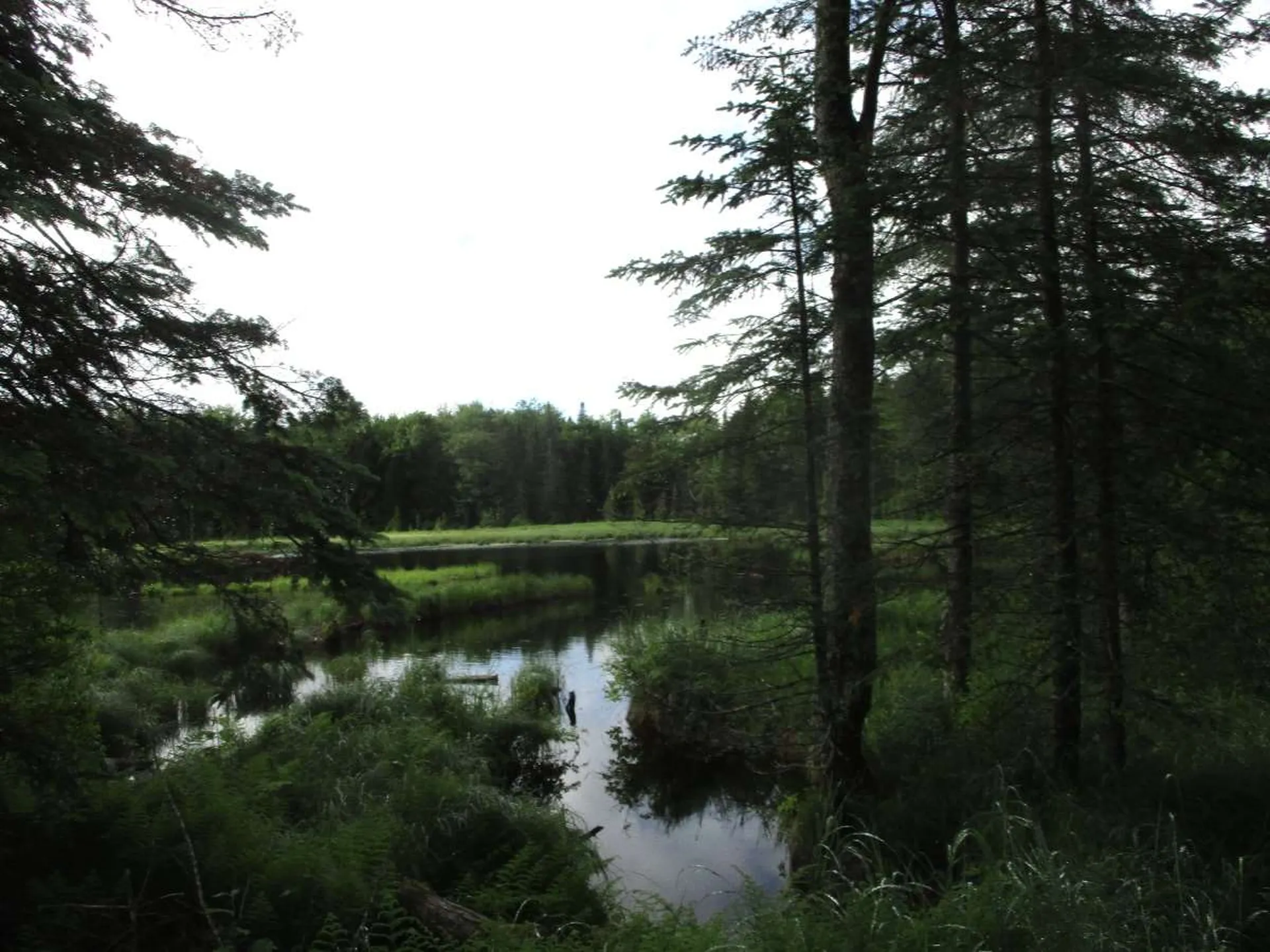 000 Jones Lane Wolcott VT 05680