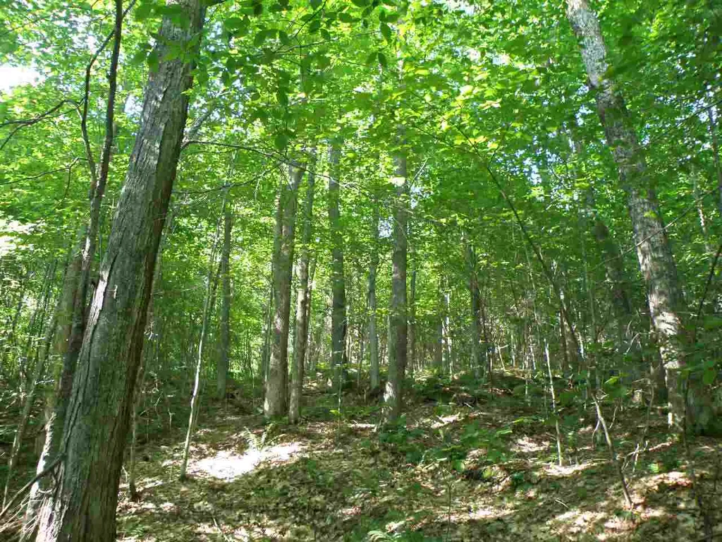 0 Frary Road Royalton VT 05068