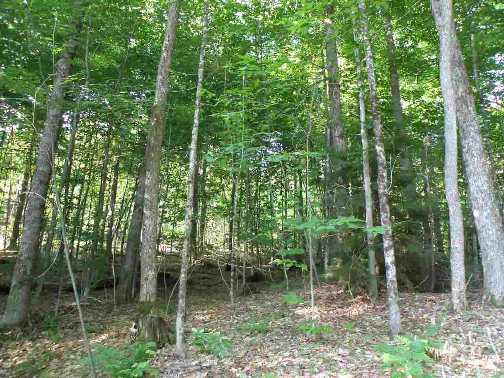 0 Frary Road Royalton VT 05068