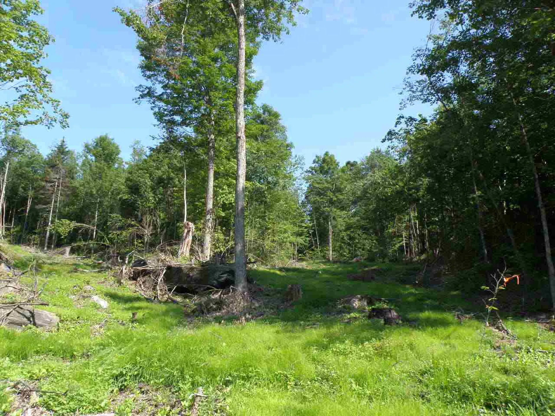 0 Frary Road Royalton VT 05068
