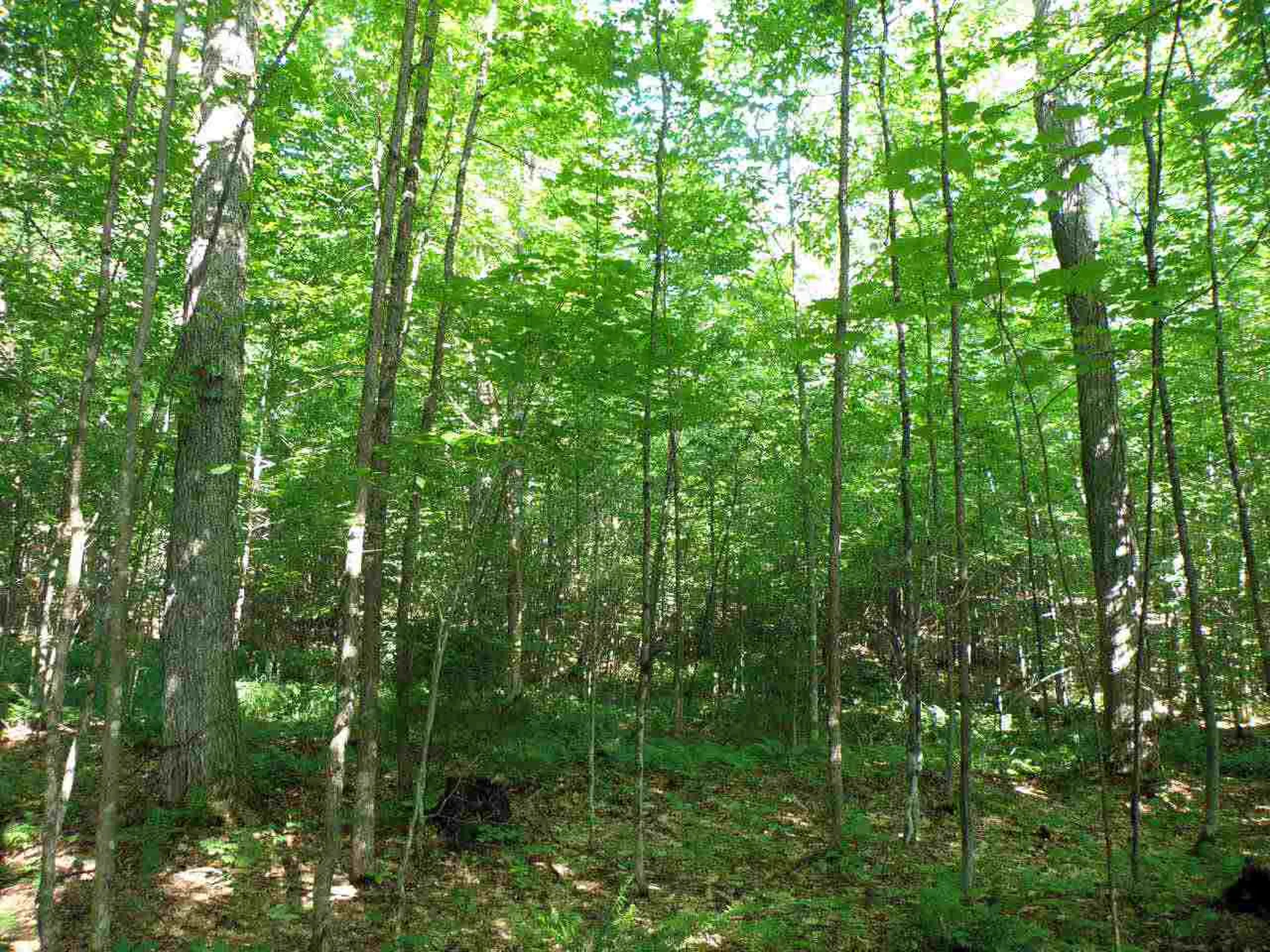 0 Frary Road Royalton VT 05068