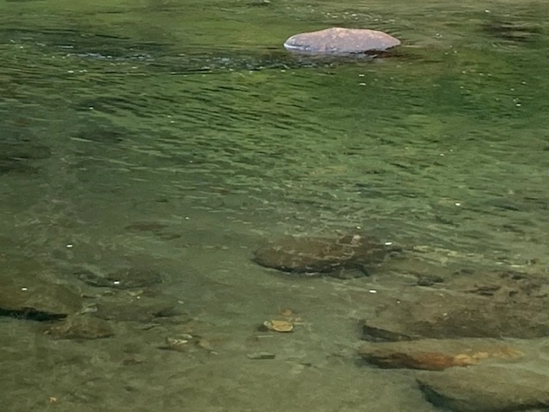 2156 Blackmer Boulevard Stockbridge VT 05772