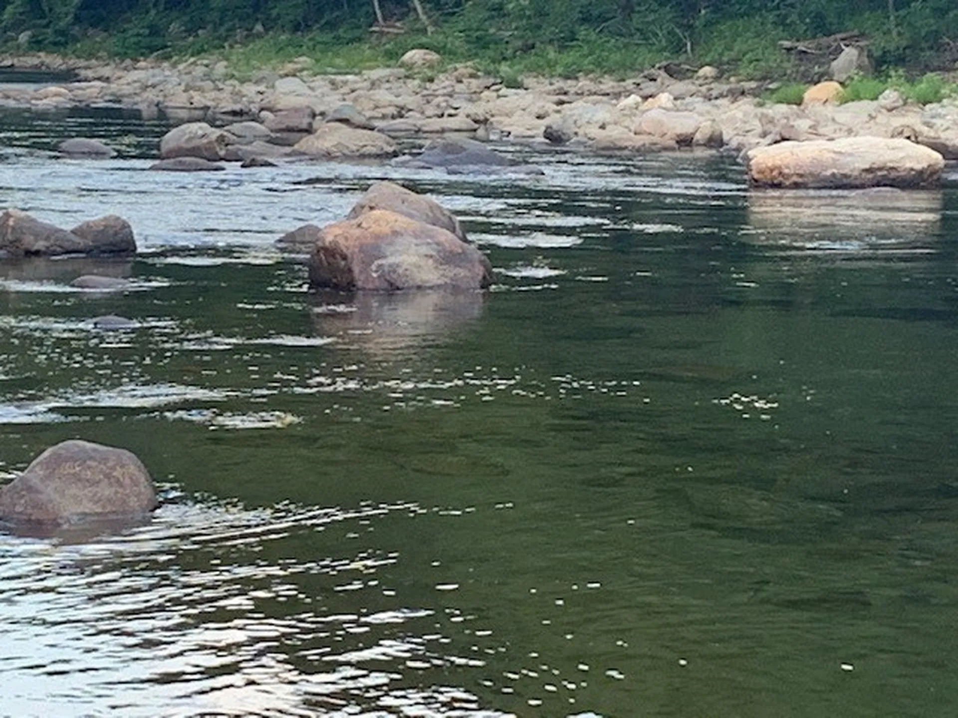 2156 Blackmer Boulevard Stockbridge VT 05772