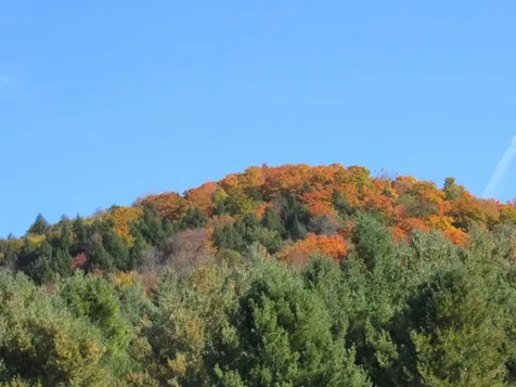 2156 Blackmer Boulevard Stockbridge VT 05772