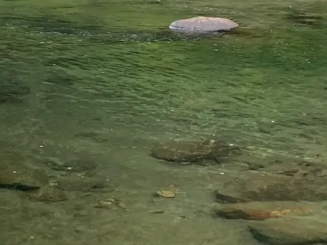 2156 Blackmer Boulevard Stockbridge VT 05772