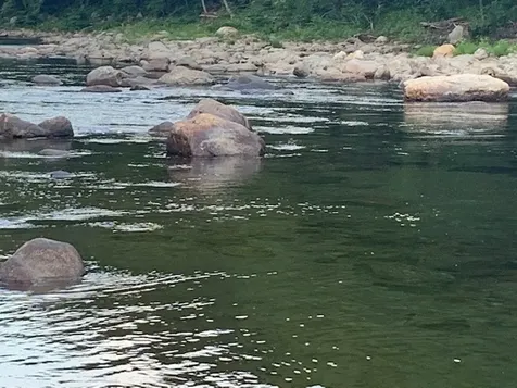 2156 Blackmer Boulevard Stockbridge VT 05772