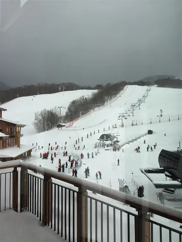 142 Red Sled Drive Stowe VT 05672