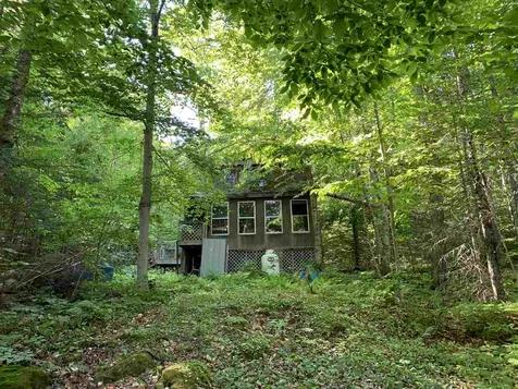 1001 Devils Hill Road Peacham VT 05862