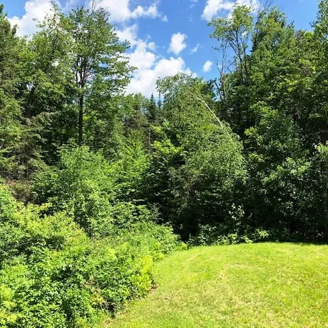 66 Ellsworth Pond Road Ellsworth NH 03223