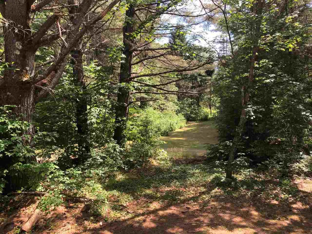 1158 Eastman Road Grafton VT 05146
