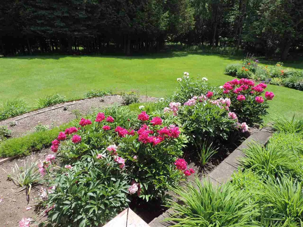 3004 Vance Hill Road Newport Town VT 05857