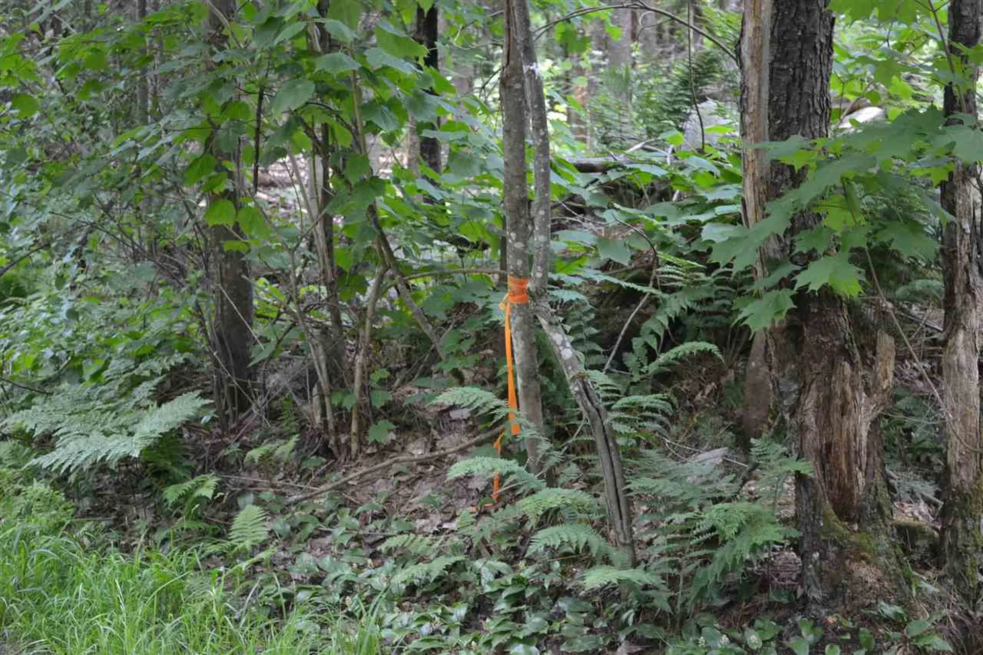 1142 Mines Road Lowell VT 05847