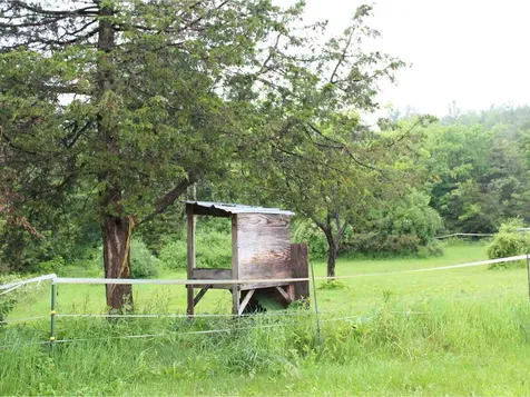 247 Bear Trap Road Milton VT 05468