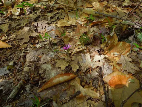 00 Whittier Highway Moultonborough NH 03254