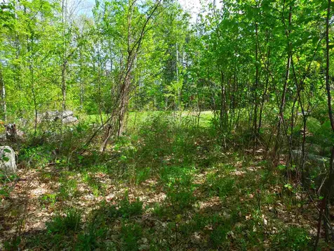 00 Whittier Highway Moultonborough NH 03254