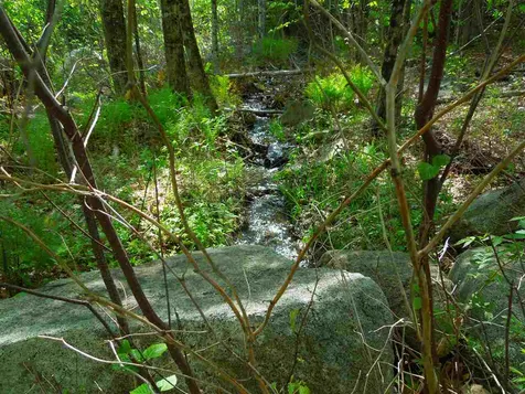 00 Whittier Highway Moultonborough NH 03254