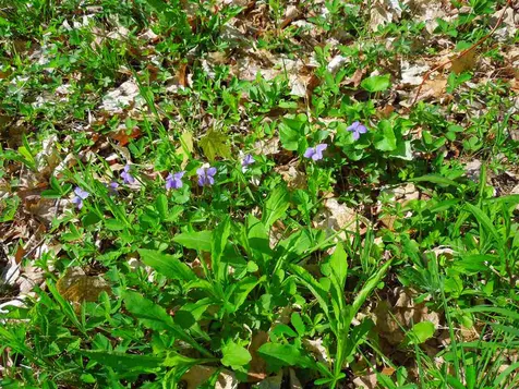 00 Whittier Highway Moultonborough NH 03254