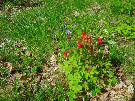 00 Whittier Highway Moultonborough NH 03254