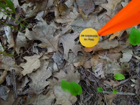 00 Whittier Highway Moultonborough NH 03254