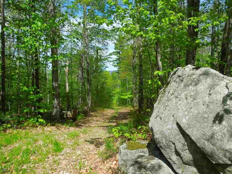 00 Whittier Highway Moultonborough NH 03254