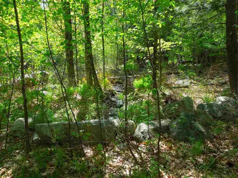 00 Whittier Highway Moultonborough NH 03254