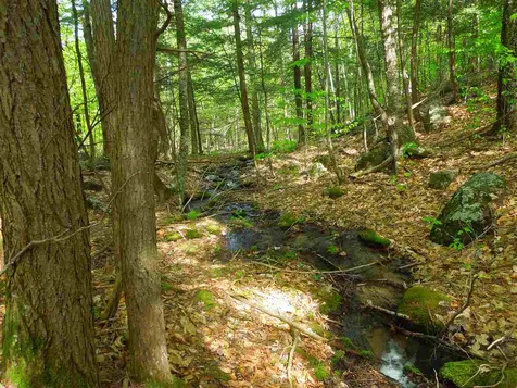 00 Whittier Highway Moultonborough NH 03254