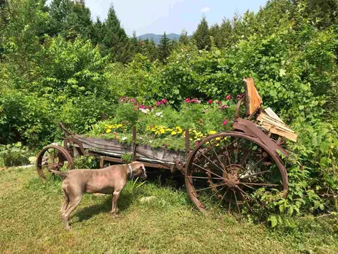 571 West Hill Road Montgomery VT 05471