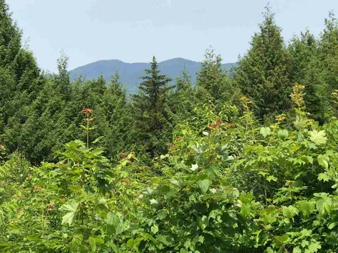 571 West Hill Road Montgomery VT 05471