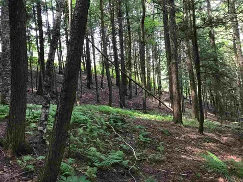 571 West Hill Road Montgomery VT 05471