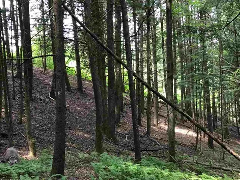 571 West Hill Road Montgomery VT 05471