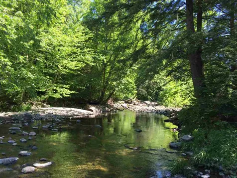 571 West Hill Road Montgomery VT 05471