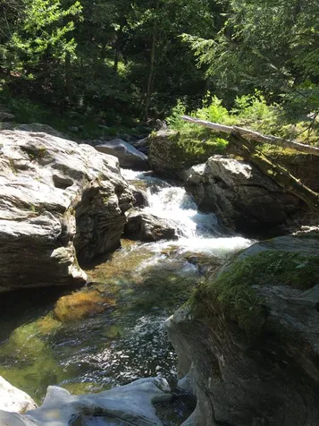 571 West Hill Road Montgomery VT 05471